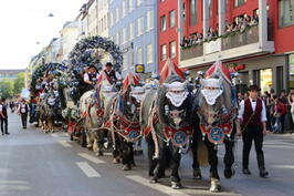 Wirteeinzug 2019 (Foto: Nina Eichinger)