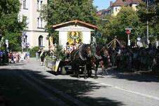 Foto: (Foto: Franziska Nowak)