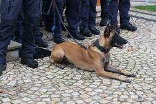 polizei (Foto: Nina Eichinger) Foto: (Foto: Nina Eichinger)